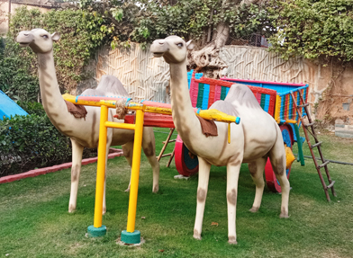 camel-cart